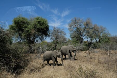 拍照也會有玻璃的反射