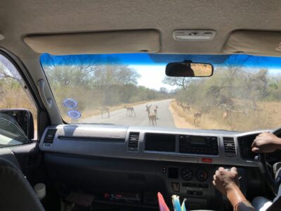 隔著車窗的距離感