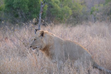 睡醒了有點感覺