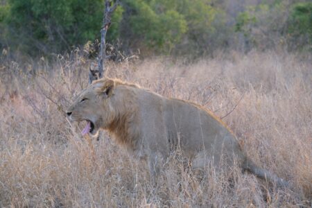 解放完又可以準備吃晚餐了