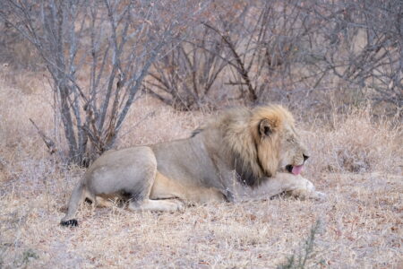 無聊到開始舔手手