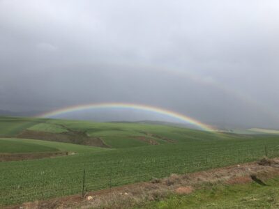 路上遇到的雙彩虹